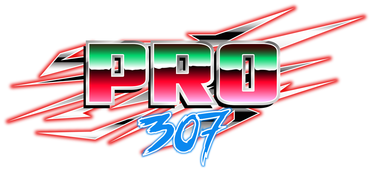 Pro 307 logo